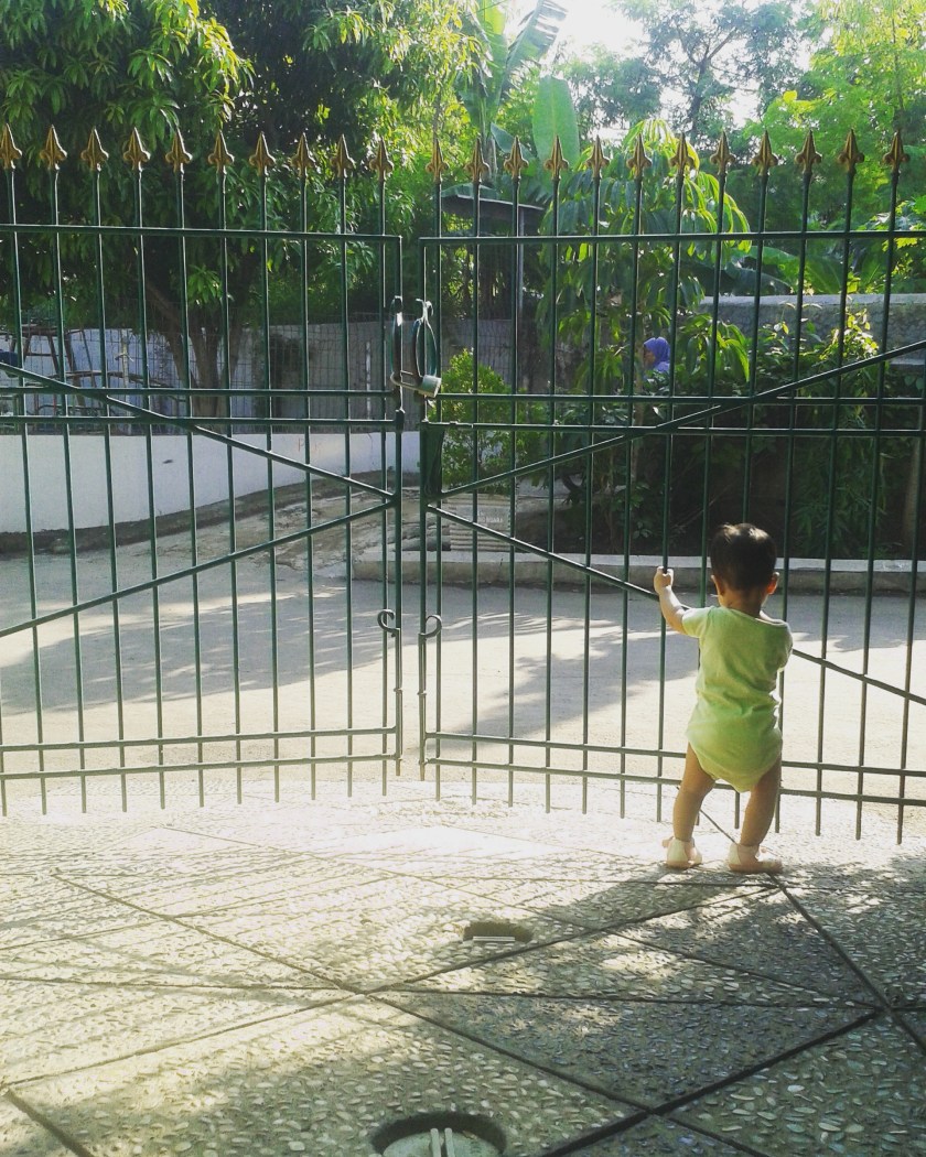 IMG_20151210_080036.jpg image