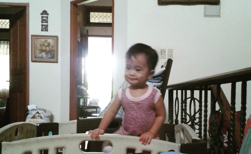 IMG_20151214_083032.jpg image